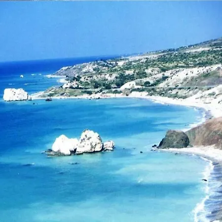 Rose Pafos